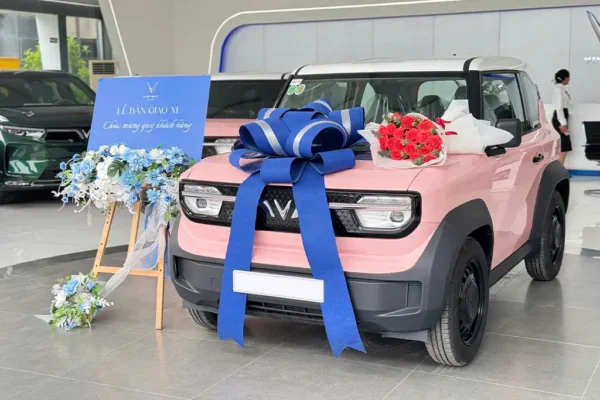 Mua xe VinFast VF3 trả góp