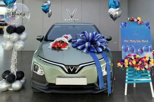 Mua xe VinFast VF5 trả góp