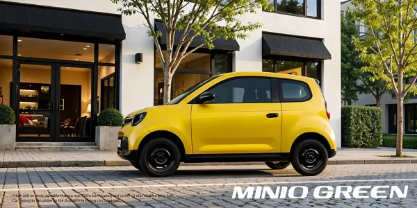 VF Minio